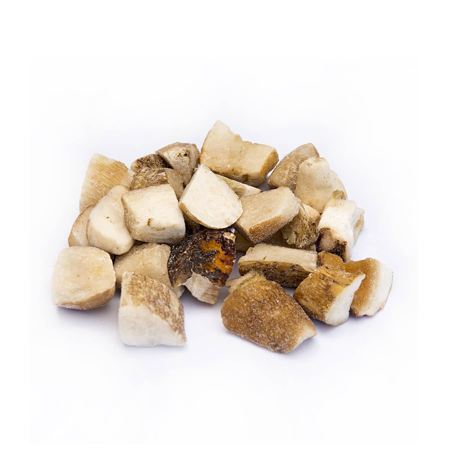 Boletus Edulis cubo extra