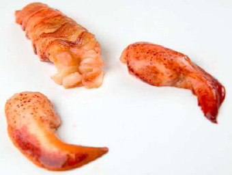 bogavante cocido congelado
