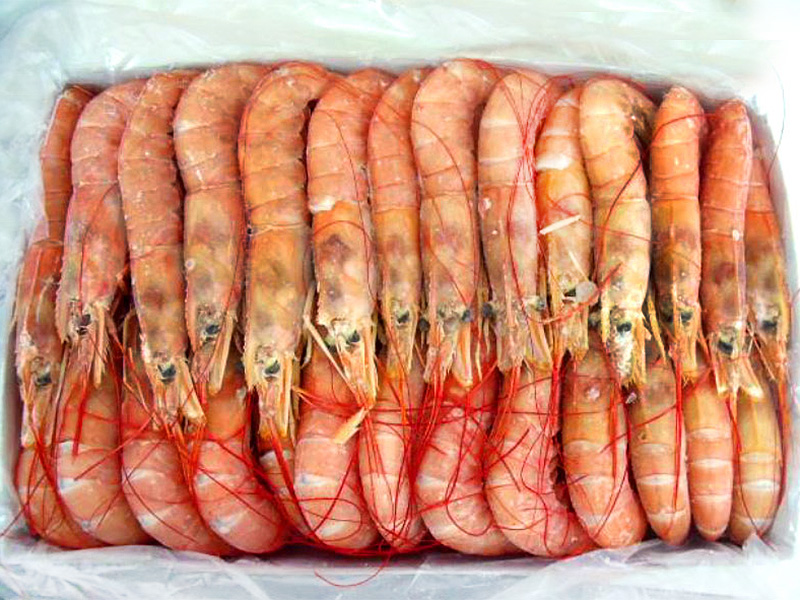 Langostino austral ultracongelado