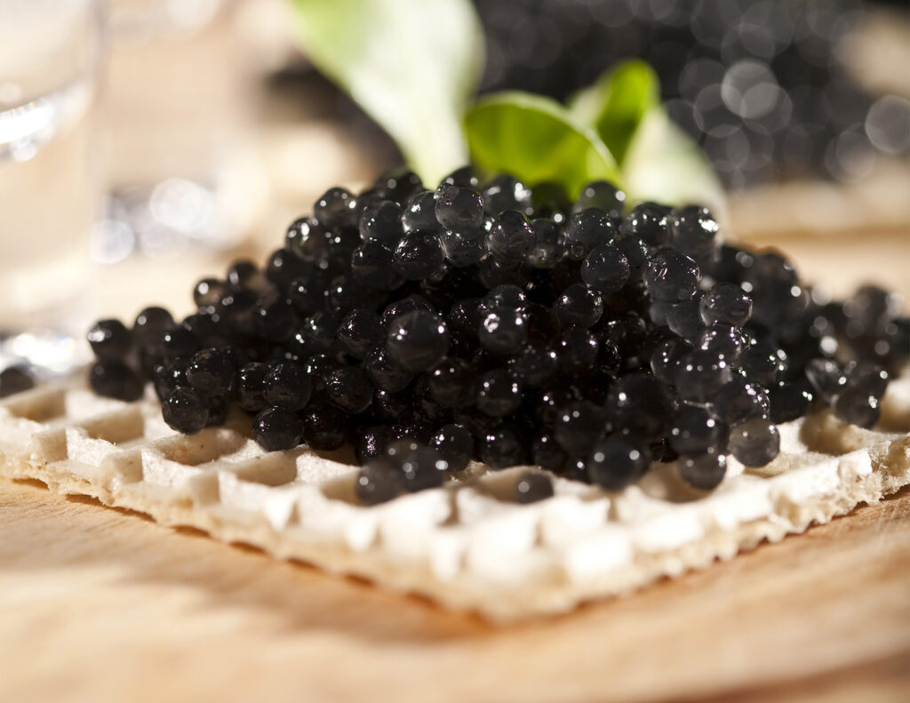 Caviar Siberiano 30grs.